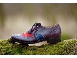 Shoe on moss log